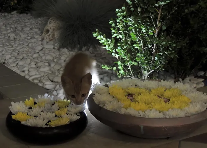 Hotel Arcupintau Villasimius